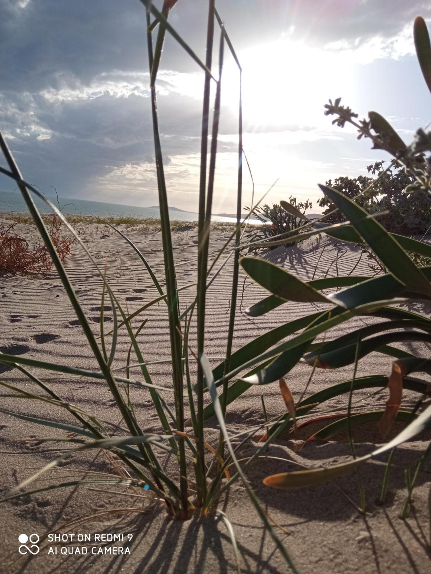 Natura E Relax Sul Mare Gela Bagian luar foto